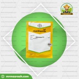 گوجه فرنگی ولنسیا